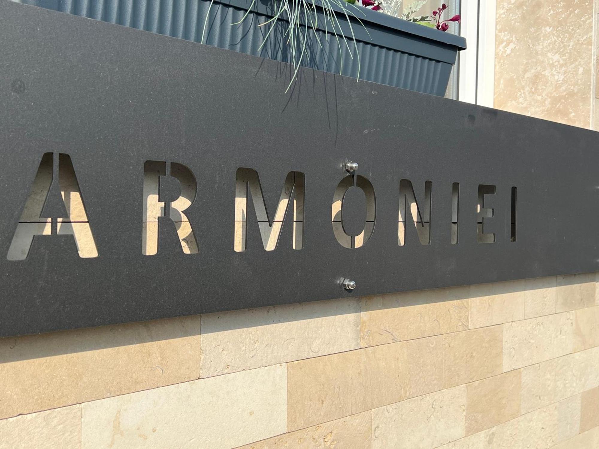 Casa Armoniei Hotel Baia Mare Exterior foto
